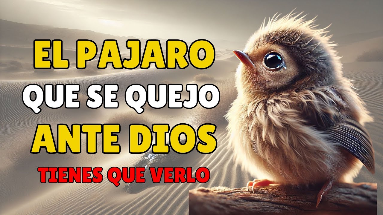 El PÁJARO que se QUEJÓ ante DIOS 🕊️ RELATO PARA REFLEXIONAR