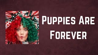 Sia - Puppies Are Forever (Lyrics)