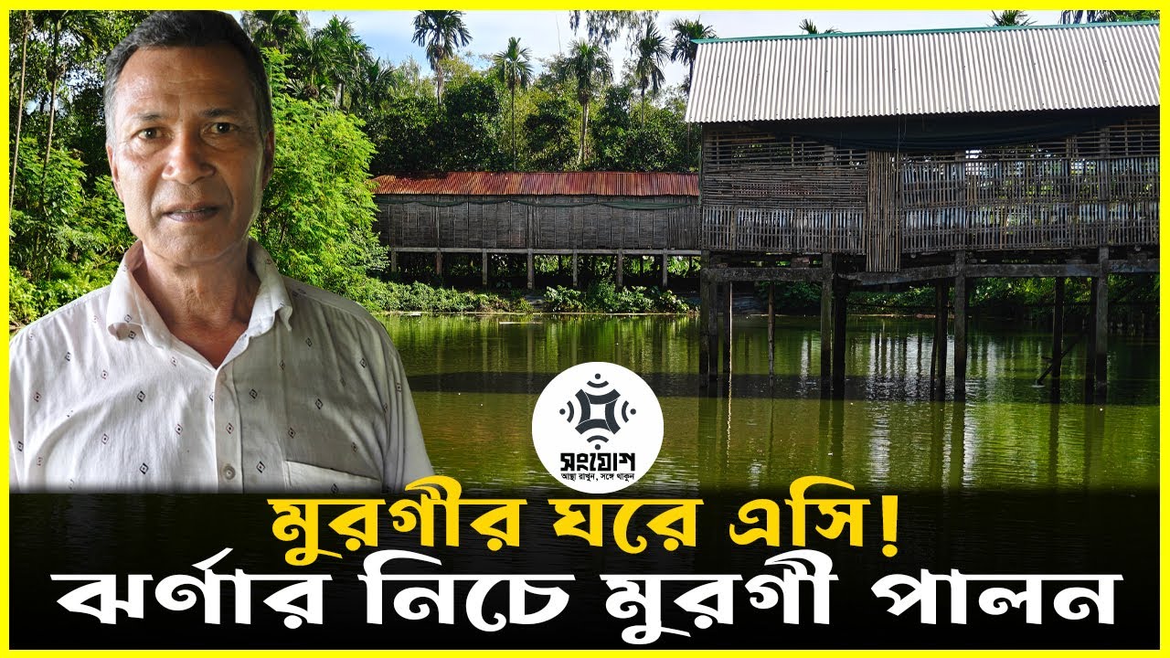 চীনে মুরগীর ঘরে এসি!  বাংলাদেশে চালু হলো ঝর্ণা