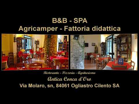 Agriturismo Spa B&B fattoria didattica sosta camper