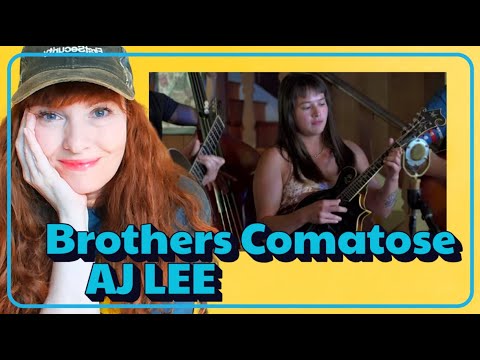 Redhead Reaction  The Brothers Comatose x ‪@AJLeeMusic‬ - "These Days" (by ‪@jacksonbrowneofficial‬)