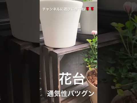 jardinière balcon -suspendre-rampe-forme-rectangulaire