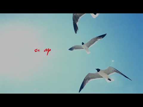 Pía Páez - Qué vas a hacer? (Lyrics Video)