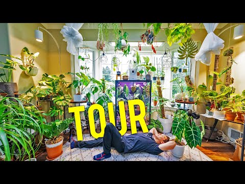 A Tour of My Plants : My Entire Collection