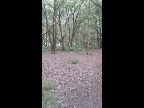 Cycling Dearne Valley park POV, Barnsley. South Yorkshire