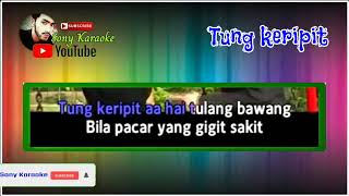 Download lagu TUNG KERIPIT IWAN sonykaraokeofficial ORIGINAL... mp3