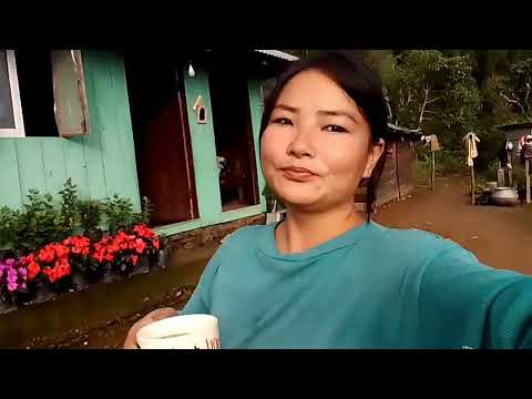 vlog3... good morning too all my viewer's....with beauty of flowers 🌹🌹