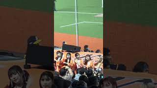 【Unigirls】OUT 台灣大賽G3@台北ドーム(台北大巨蛋) 20241022 #台湾チア #cheerdance #unigirls