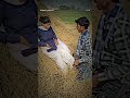 Xx Video Sortas Love Dans Bhojpuri Song Trending Virl Youtube Sortas