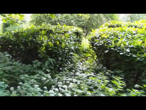 Gateshead river team valley walk