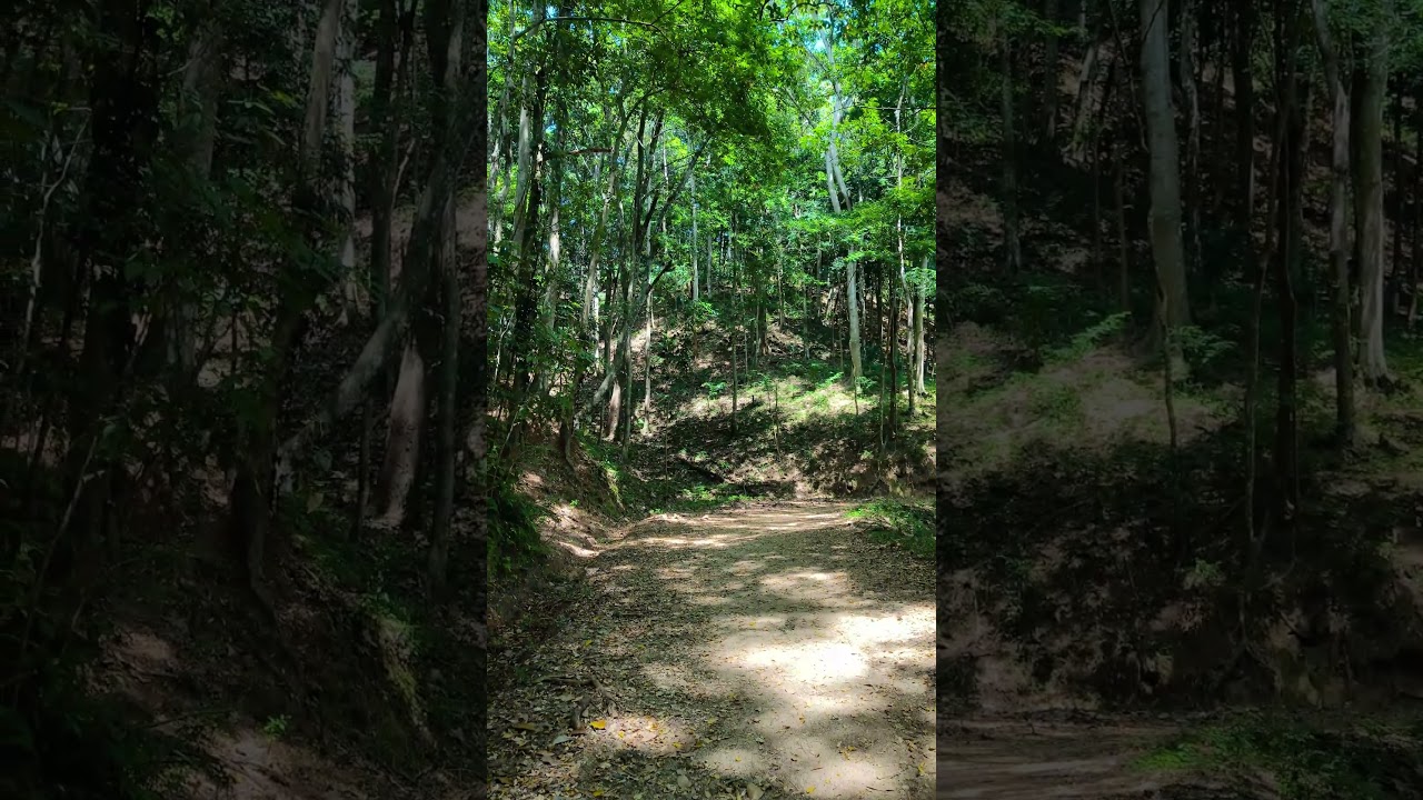 YouTube Short thumbnail