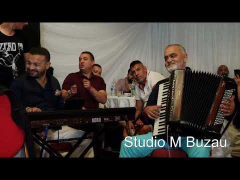 Ionica Minune si Extraterestii 2019