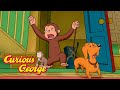 George And The Spooky Basement Curious George Kids Cartoon Kids Movies