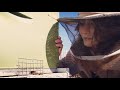 Honey Bee History [Telling The Bees]
