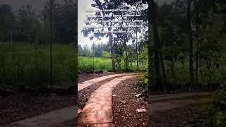 Download lagu Terlalu Indah Dilupakan - Koes Plus #shorts #quotes #statuswa #story #lagunostalgia #koesplus mp3