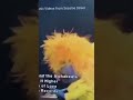 Sesame Street Count It Higher