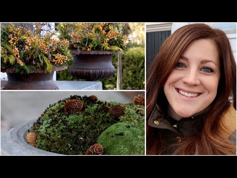 Arranging More Winter Containers (Trying Moss) ❄️🌲 // Garden Answer