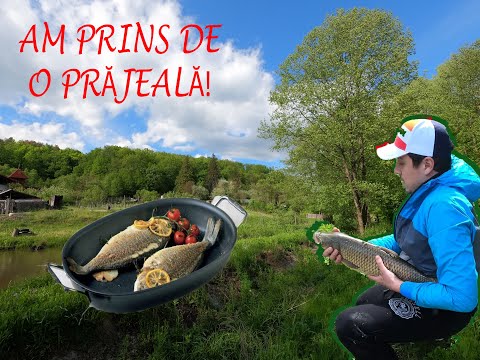 La pescuit pe timp de Pandemie!