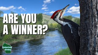 And the Winners Are… 🏆 (Plus Big Channel News!)