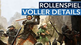 REALMS BEYOND ist zwar ein neues Rollenspiel, erinnert aber an richtig alte RPG-Klassiker wie Ultima