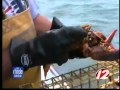 Michaela Can Lessons In Lobsters