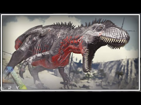 WE CHALLENGE THE SAVAGE ACRO TO A FIGHT... | ARK Caballus [Episode 97]