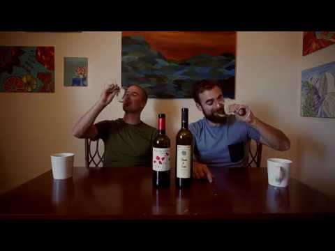 The Wine Brothers - Albariño from Rias Baixas