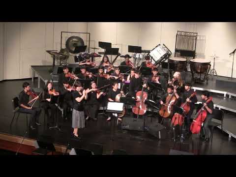 The Sound of Sound  by Richard Meyer