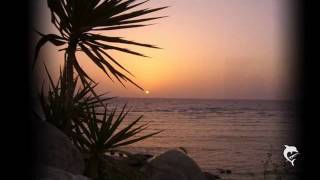 Kai Tracid-4 Just 1 Day