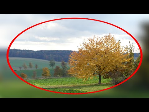 Hauptmannsgrün (Heinsdorfergrund) - bunte Farben, Idylle und viel Fernsicht