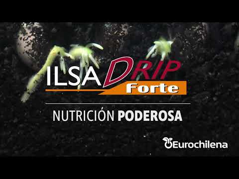 ILSA DRIP FORTE | Nutrición poderosa desde la raíz