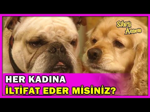Taci, Dudu'nun Köpek Haline Kur Yapıyor! - Sihirli Annem Özel Klip