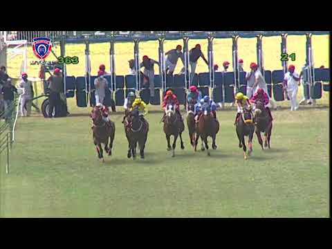 RM36 R3 | Captain Flynt | N.Teeha