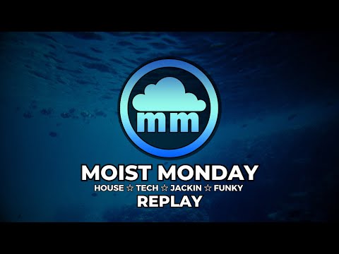 The Brisk Selection, December 30th 2025  #EP1199 ☆ #TorrentialTuesday ☆ #House ☆ #Music