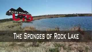 preview picture of video 'The Freshwater Sponges of Rock Lake, NM'