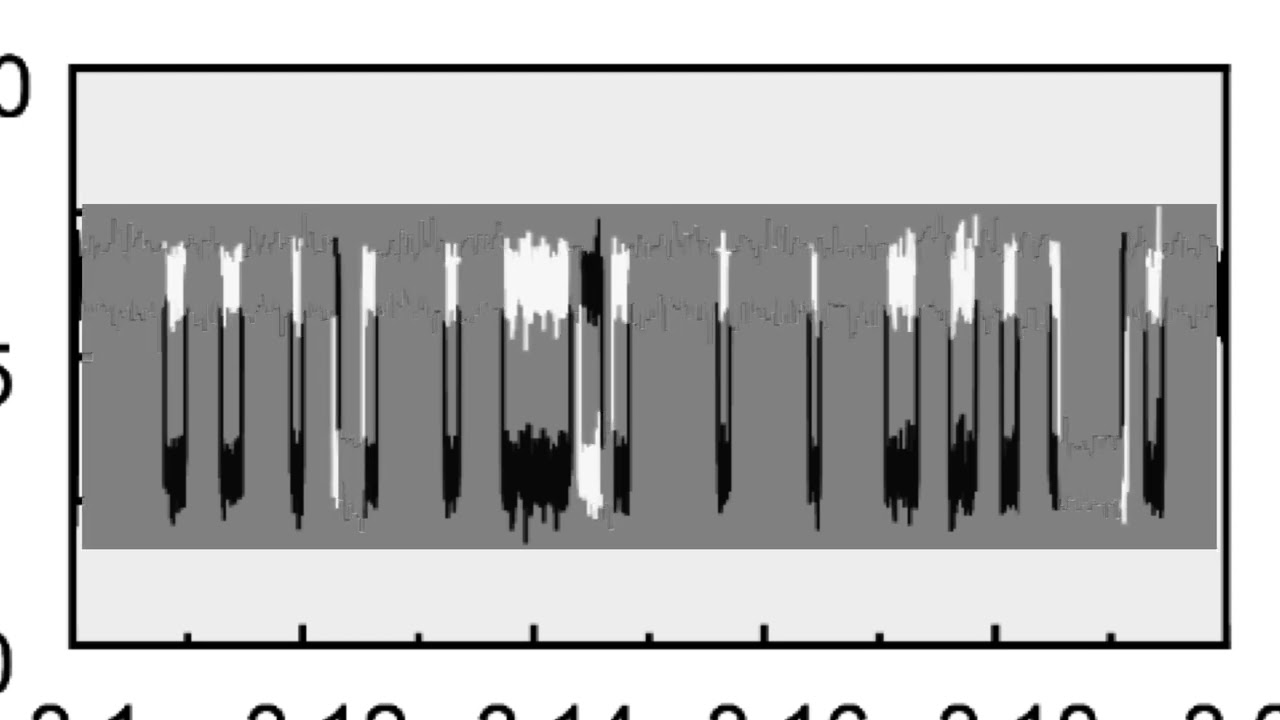 8F87C4D788CEE31E4275B4F0ED565A#1