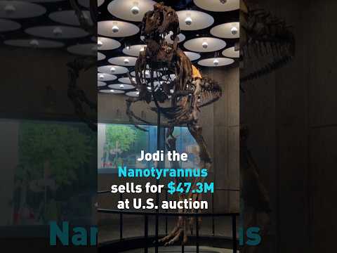 Jodi the Nanotyrannus sells for $47.3M at U.S. auction