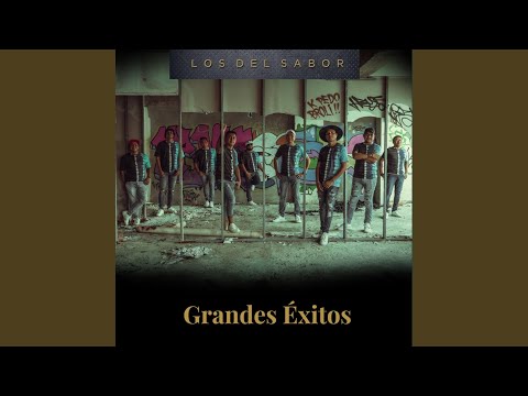 Popurri de Sones/ Son de la Rabia/ Son de los Enanitos/ Feria Chilpancingueña