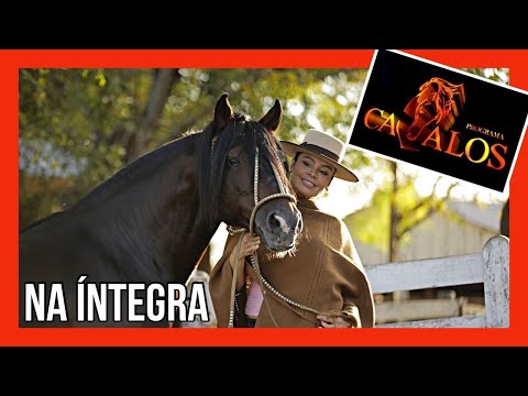 PROGRAMA CAVALOS 16/07/2022