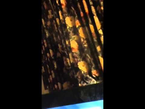 Tour around the hotel Days inn