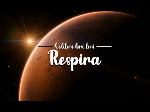 Colibri bri bri - Respira