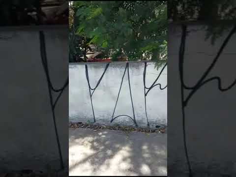 PARANGA pixando de dia role na caruda 2023 #pixo #pixação #xarpi #picho #pichação #shorts