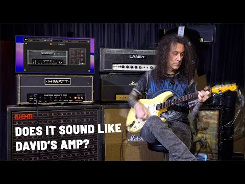 TH-U Made In Rock PFL 100, modelling David Gilmour's Amplifier