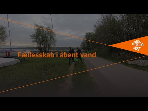 artikel video