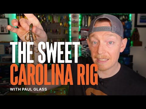 Sweet Carolina Rig (oh oh oh)