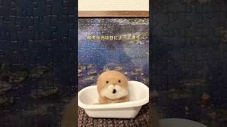 #hsp #働き方 #日記 #気付き