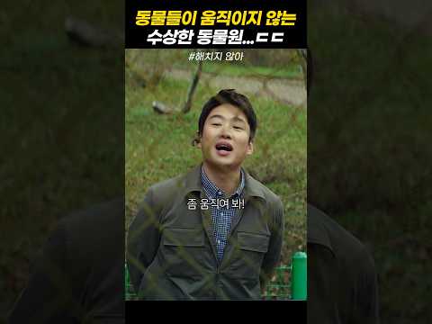 동물들이 움직이지 않는 수상한 동물원 #해치지않아