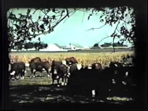 The Great Story of Corn