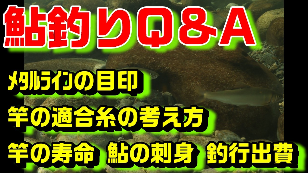 鮎釣り質問 A-34 2026年3月6日 本年度の質問受付は終了しました