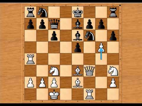 Neverovatna matna kombinacija ♤ DIEMER vs SCHICKNER # 1414